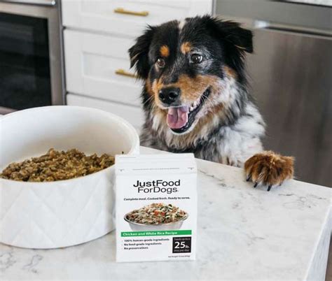 just food for dogs discounts|Real Food for Real Good Dogs